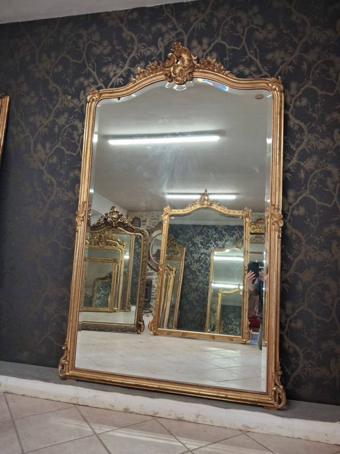 Napoleon III mirror 209 x 134