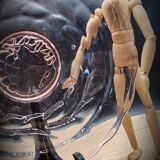 Pink grape dish Scailmont