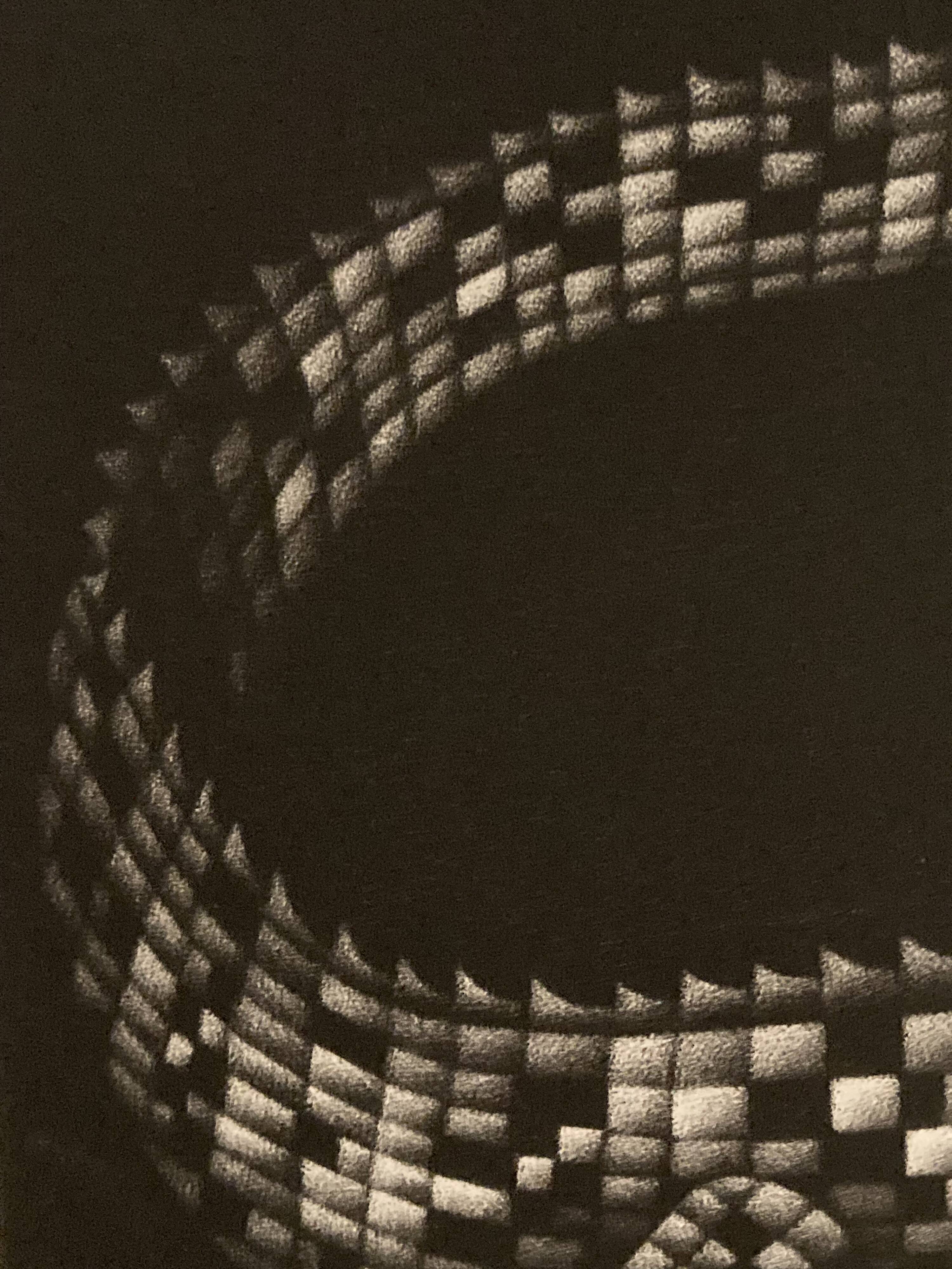 Mario avati (1921-2009), alligator, black and white, 1970