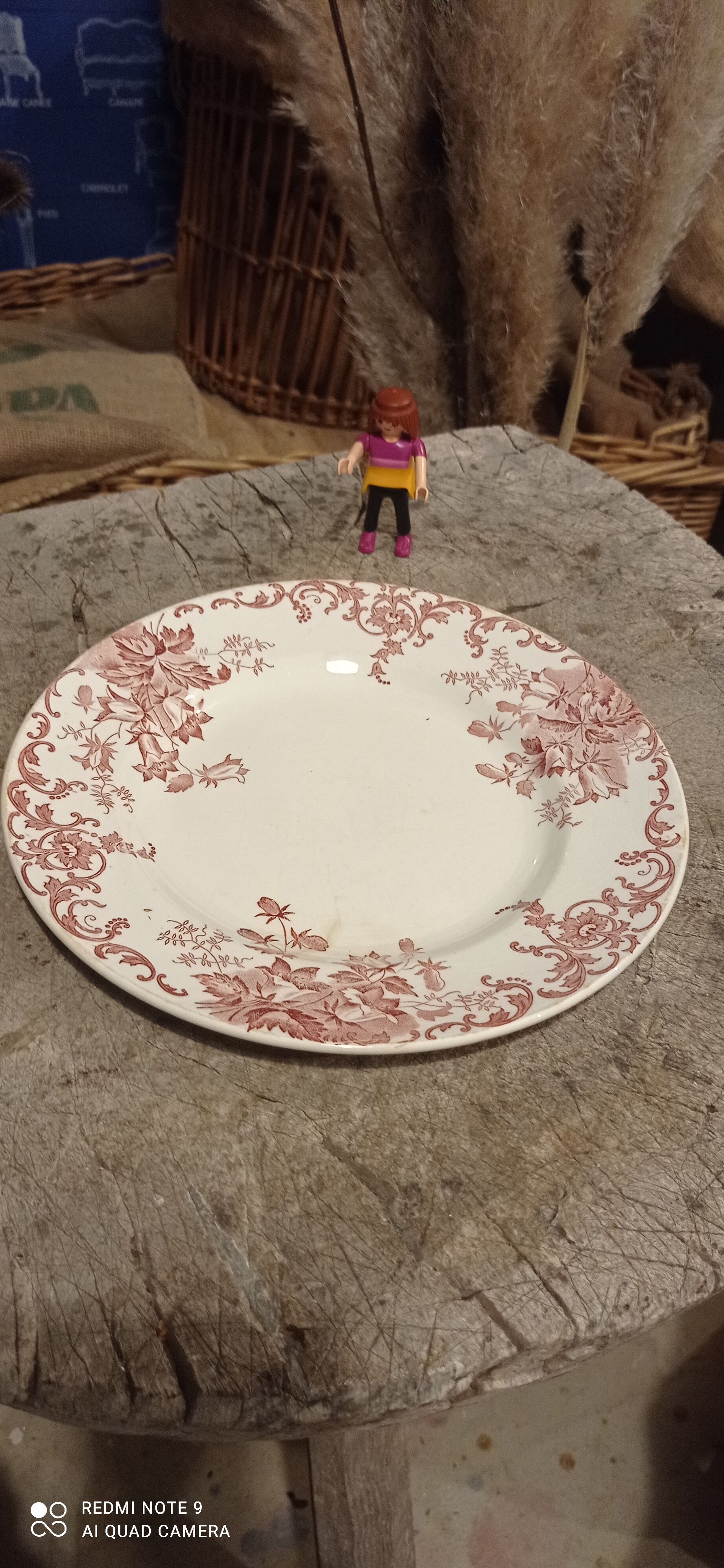 Lot plates iron earth