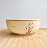 Retro salad bowl
