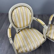 Pair of Medallion Armchairs in Louis XVI Style with Footrests, 20th Century