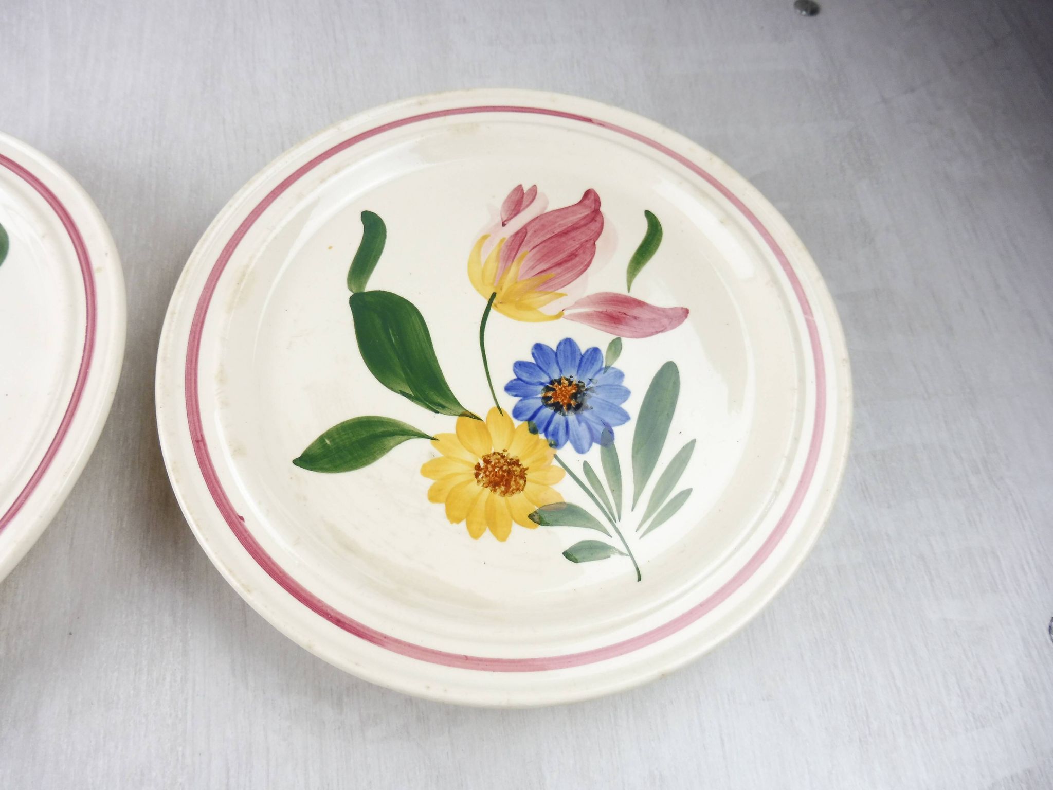 Lot of 2 plates with footouche décor Selestat, Schlettstadt, from Sarreguemines