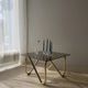 Coffee table with smoked glass and curved metal base