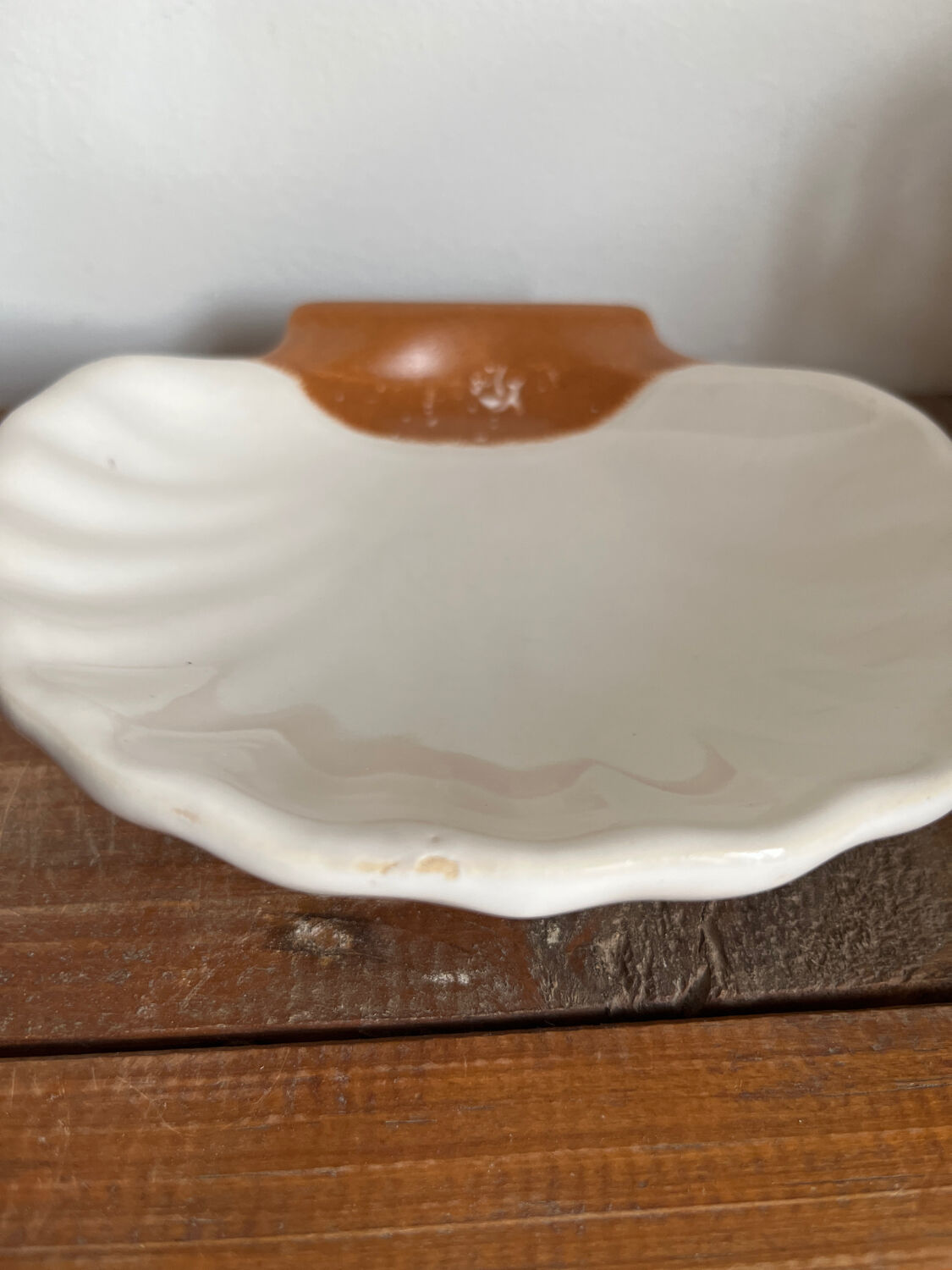 6 shell-shaped bowls