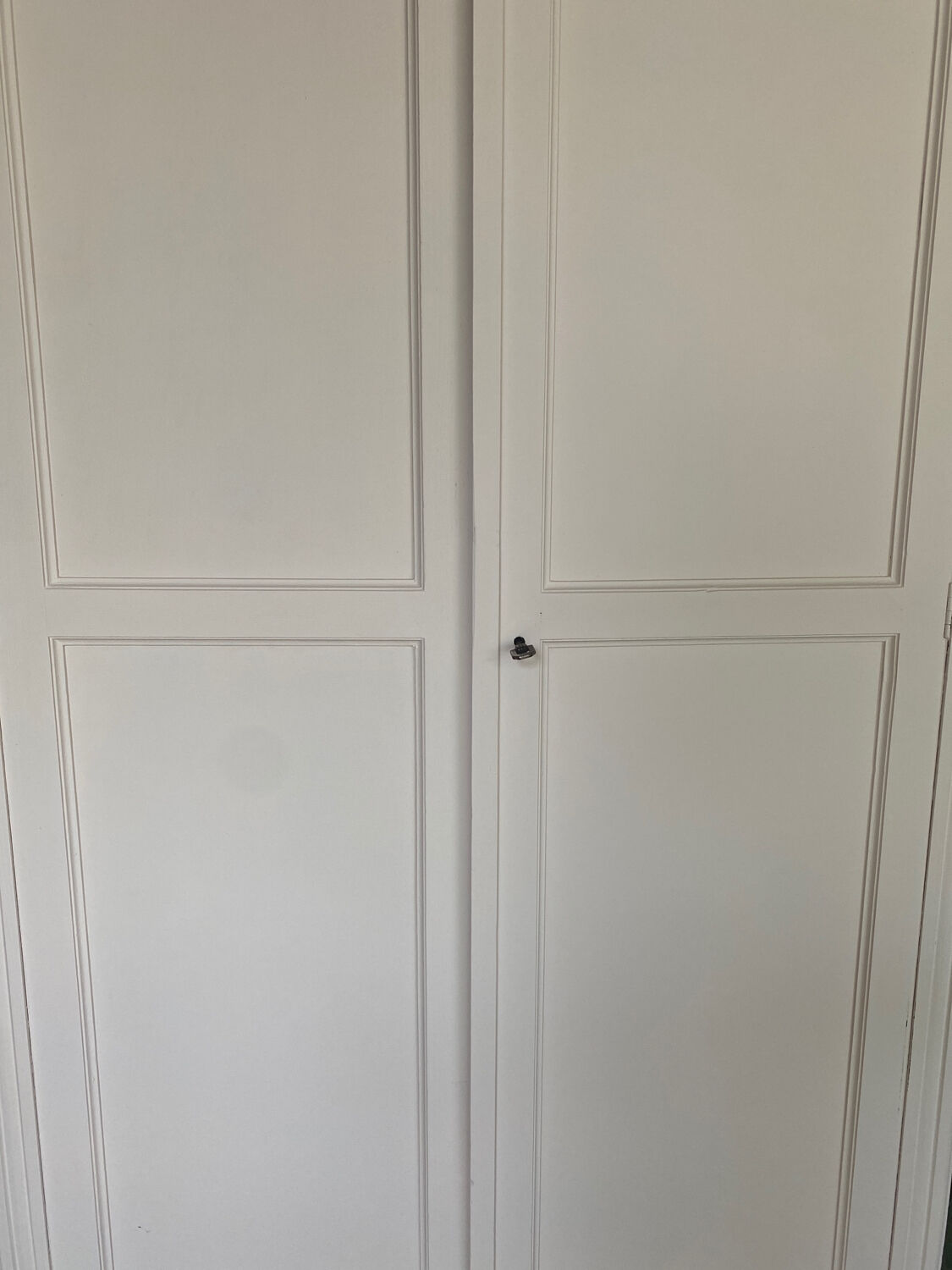 Parisian wardrobe repainted