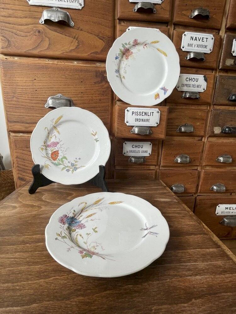 Set of 3 antique Longchamp ironstone dinner plates.