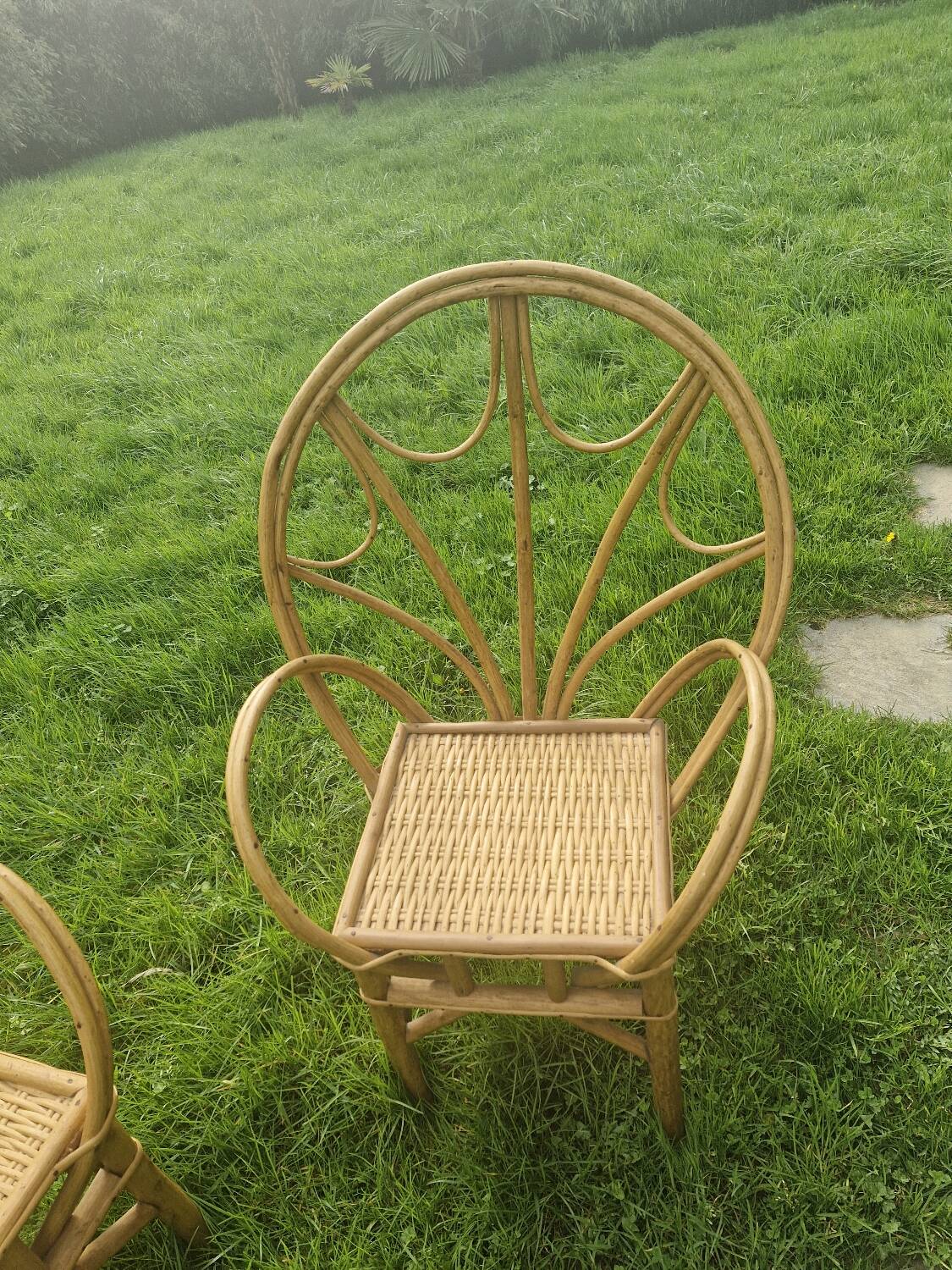 Paire de fauteuils en rotin