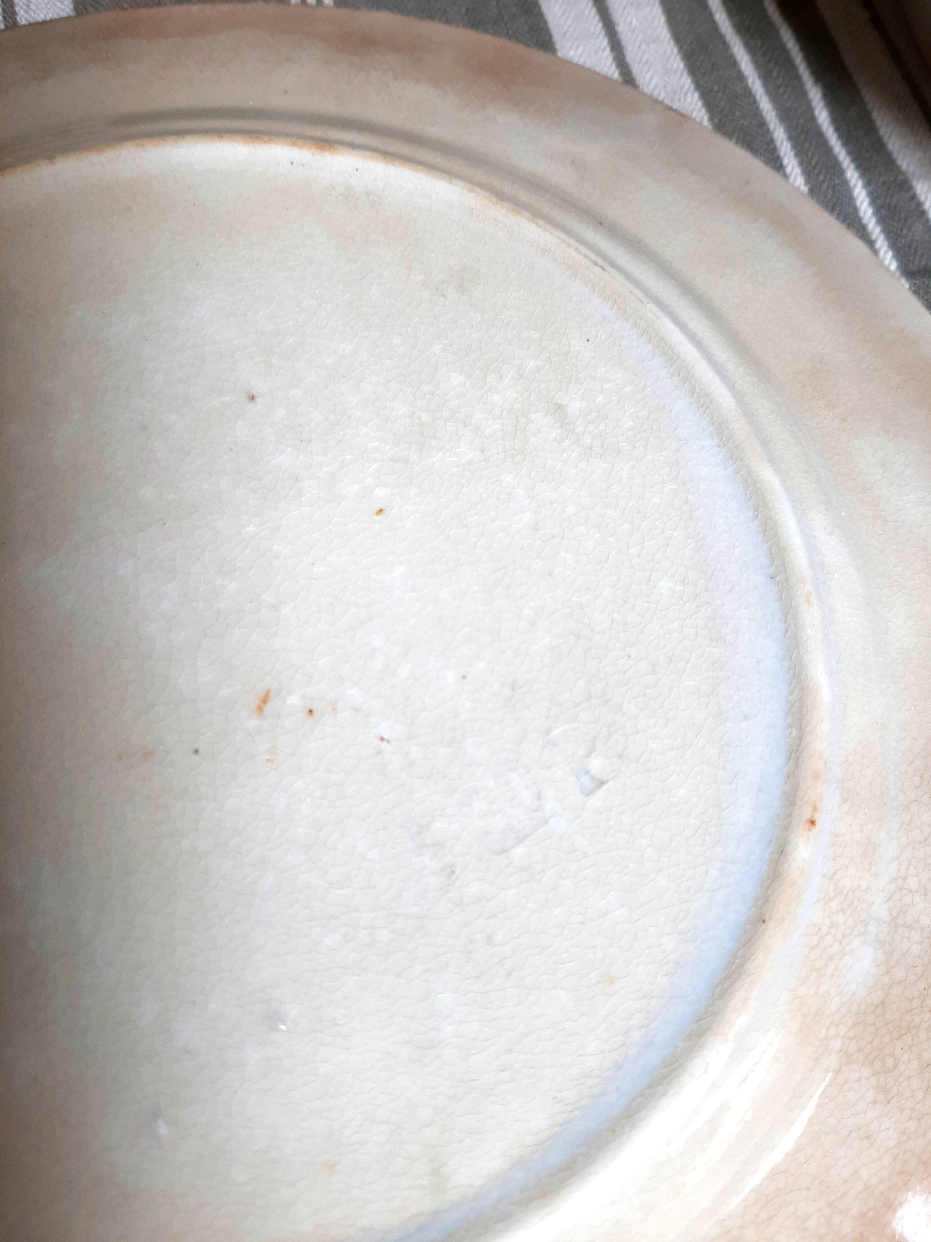 Antique earthenware plates with fruit decoration.