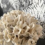 Corail ancien