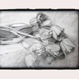 Dibujo de tulipanes a carbono sobre papel. Flowers sketch.
