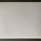 Silver photo Bernard Darot XXth Lion