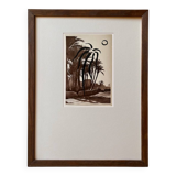 Palm - Illustration