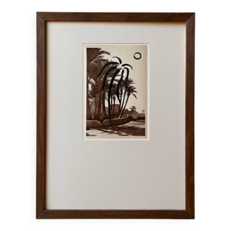 Palm - Illustration