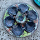 Vallauris oyster plates