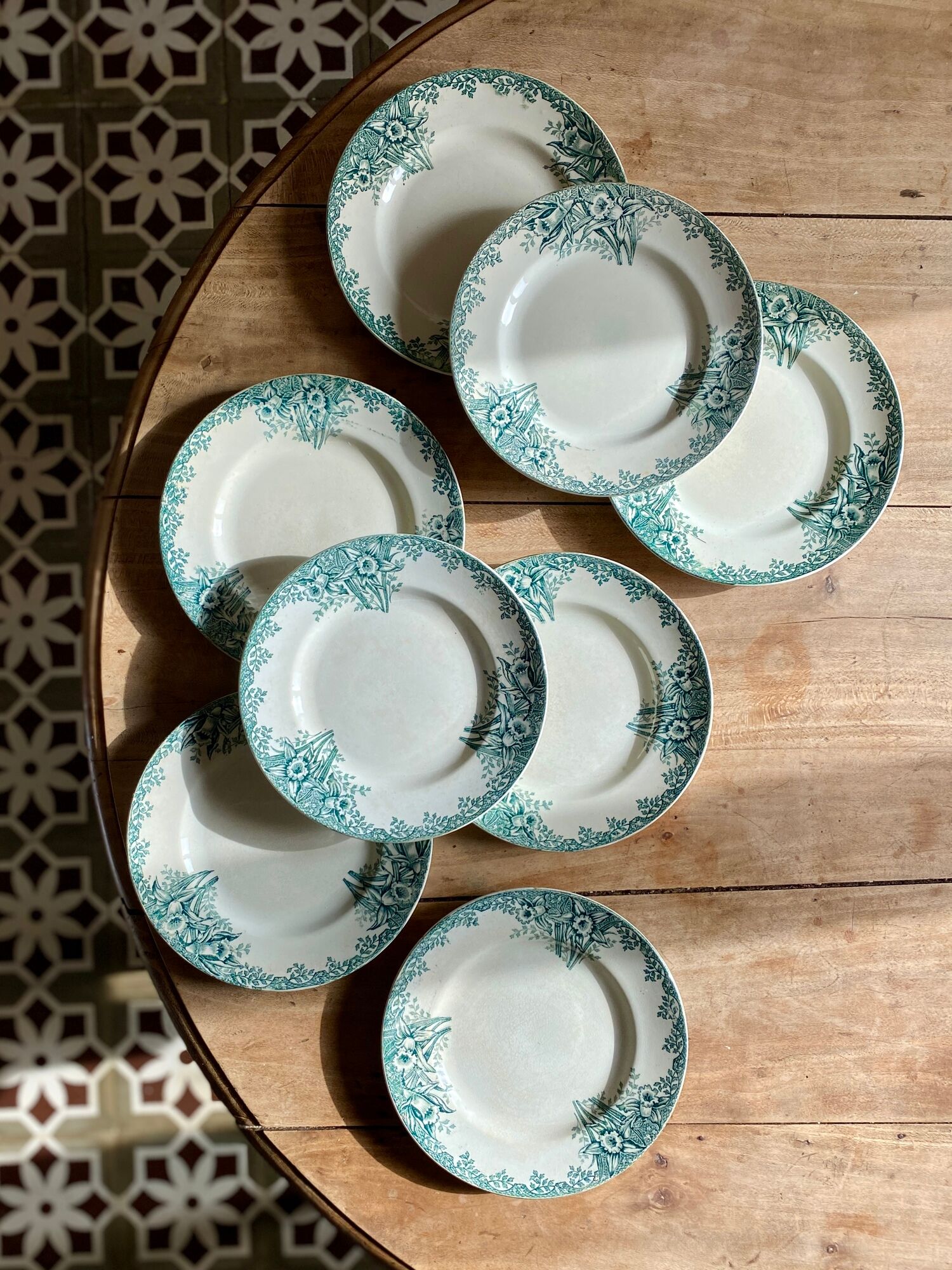 Set of 8 vintage flat plates in iron earth, model Narcisses de Saint Amand (LOT1)
