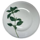 13-piece Dibbern Herbaticum porcelain dessert set circa 1980