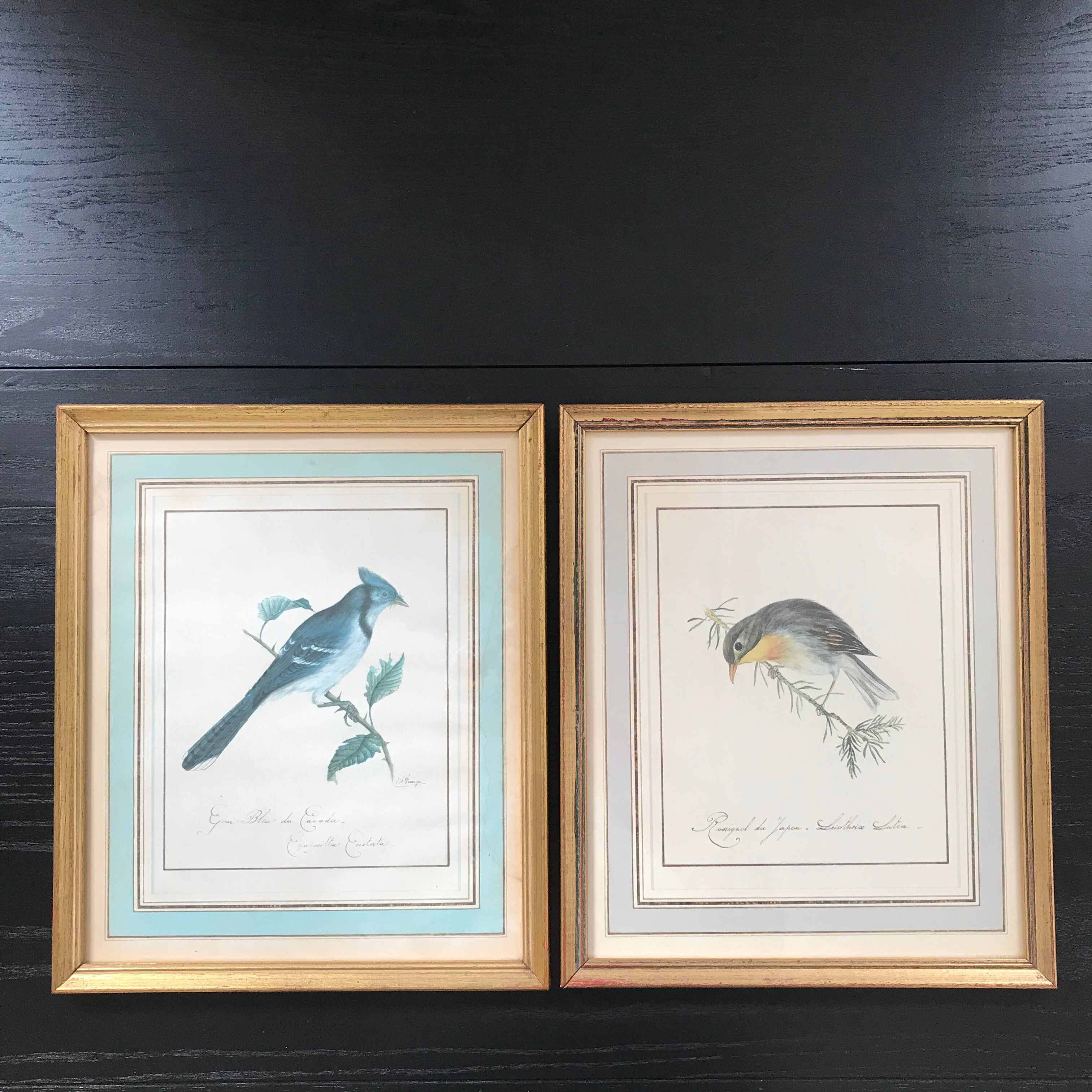 Ornithological nightingale board