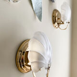 Shell sconces