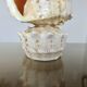 Lampe coquillage "cassis cornita" années 70
