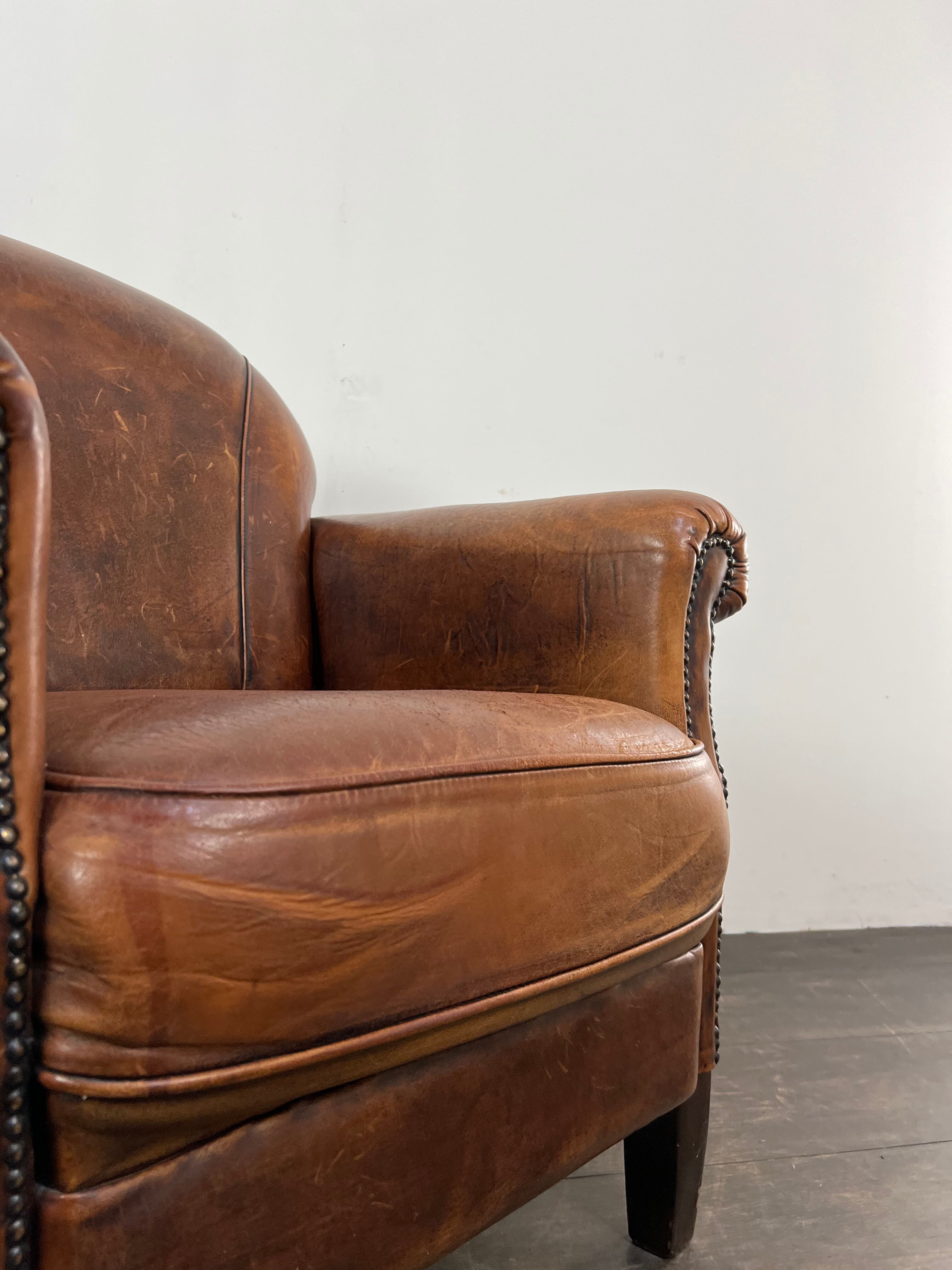 Club chair sheep leather
