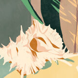 Terraqué, illustration