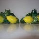 Pair of lemon slip candle holders