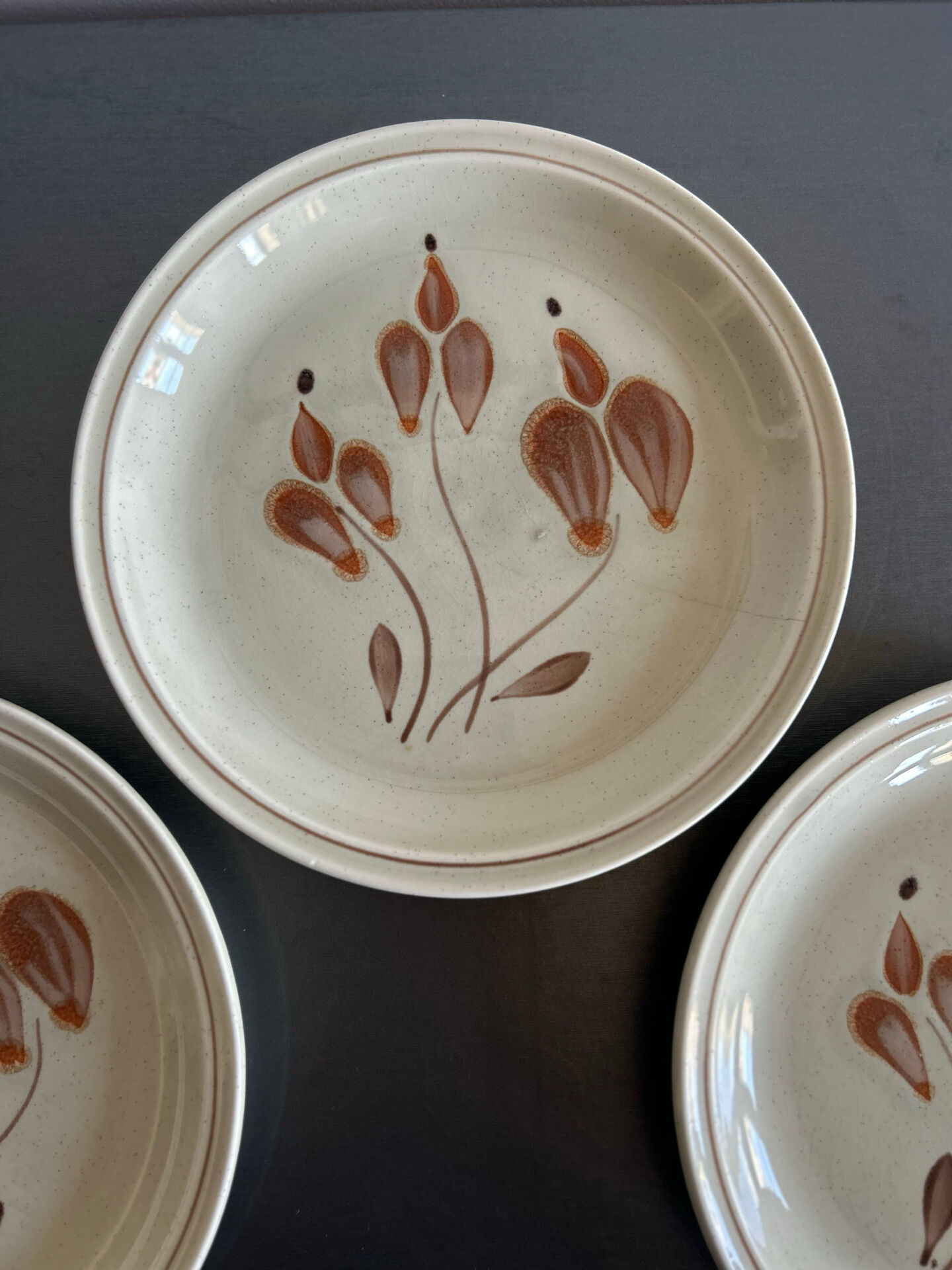 Assiettes en grès mat