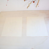 2 botanical plates from art and decor 104 serie 1