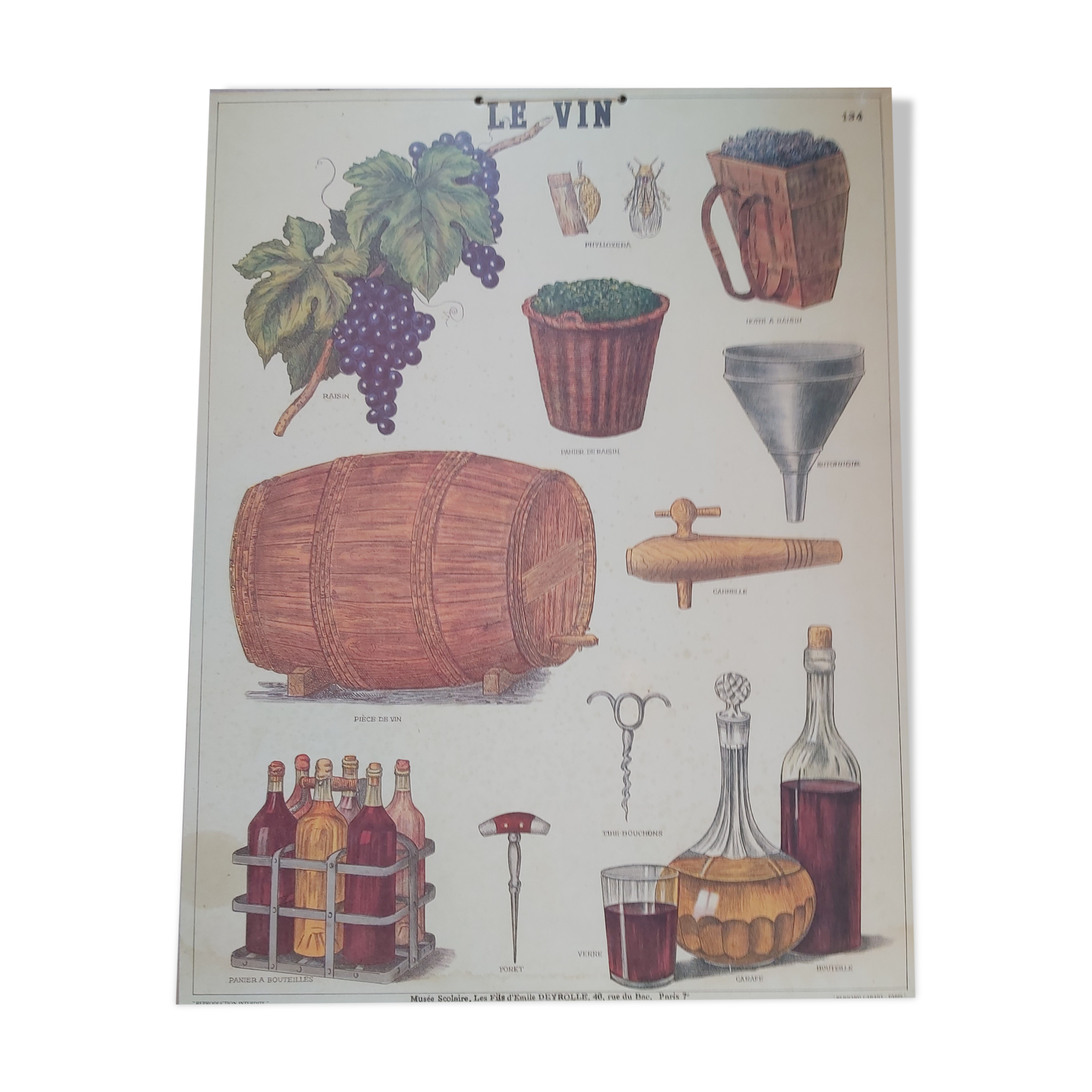 Vintage Deyrolle poster