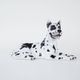 Ceramic Dog Arlekin figurine, Italian design, 1970s, made in Italy