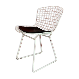 Bertoia Harry chair