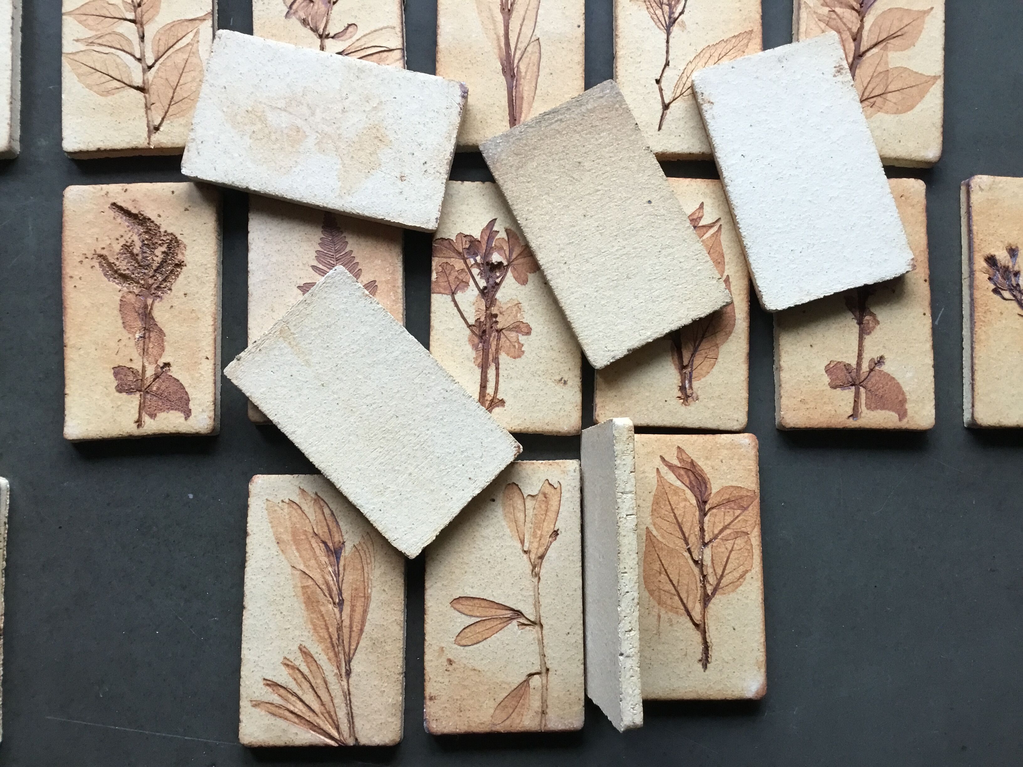 Roger ceramic tiles herbarium model