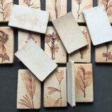 Roger ceramic tiles herbarium model