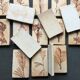 Roger ceramic tiles herbarium model