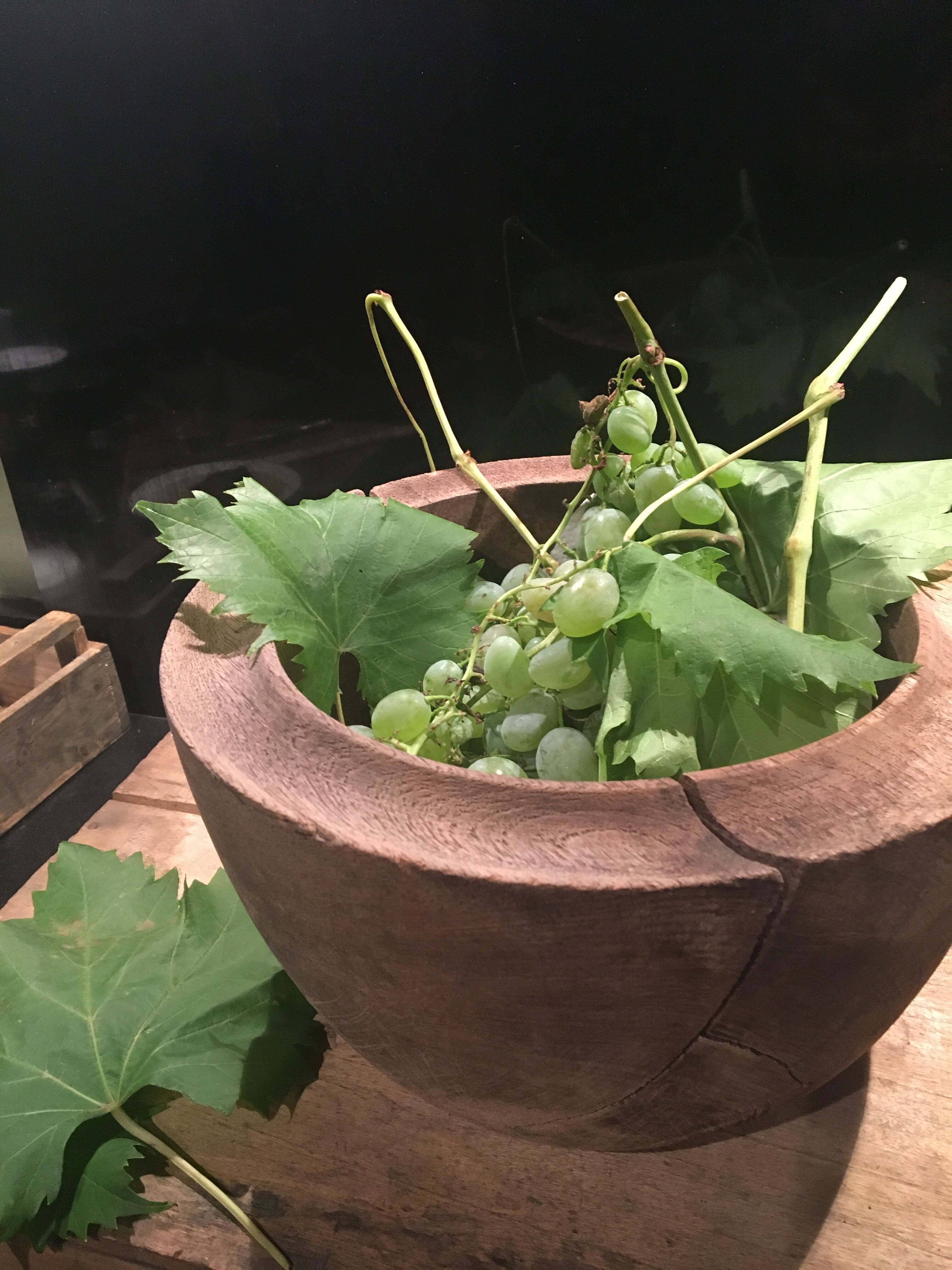 Raw wooden salad bowl