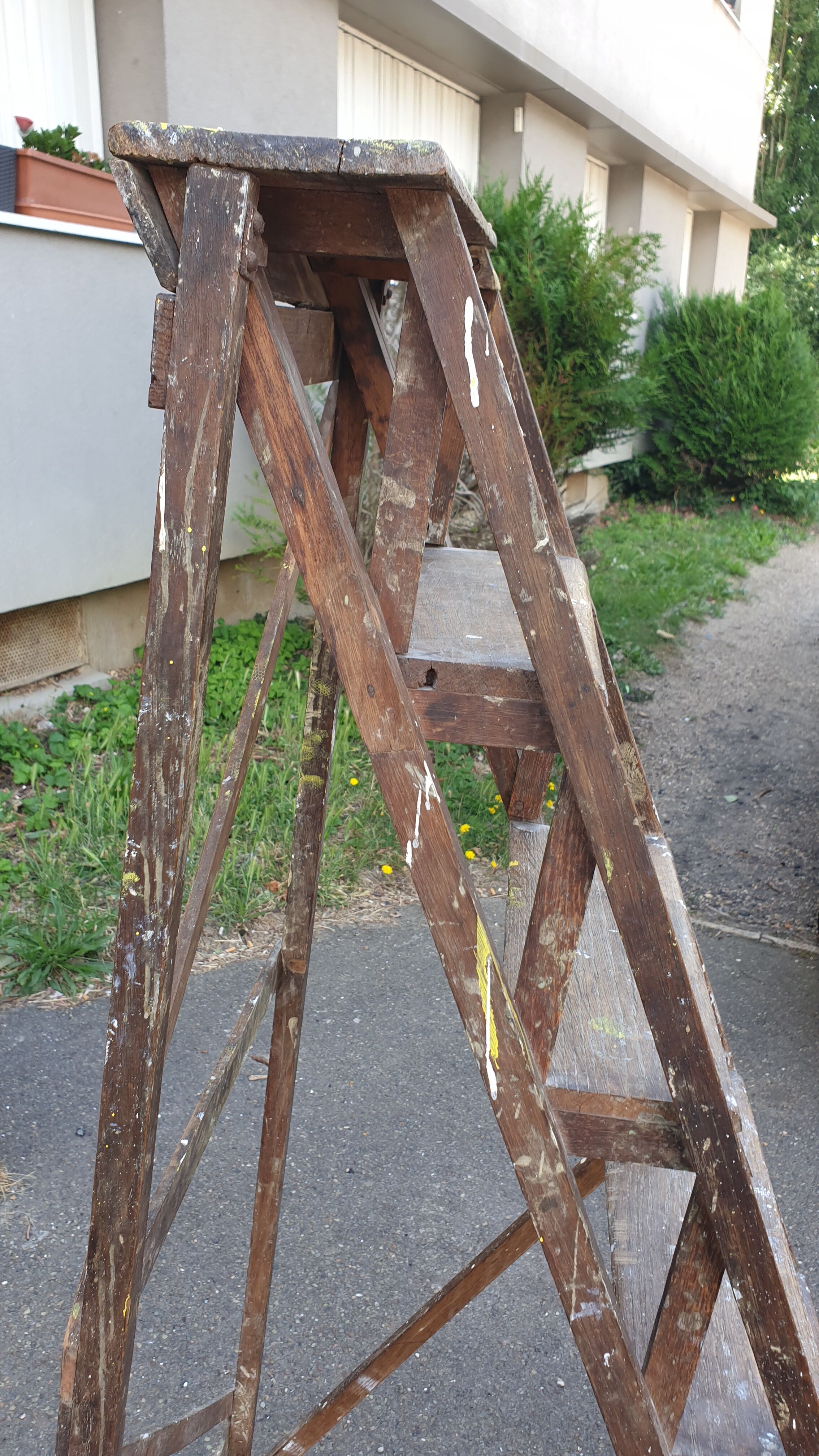 Painter's stepladder in solid beech