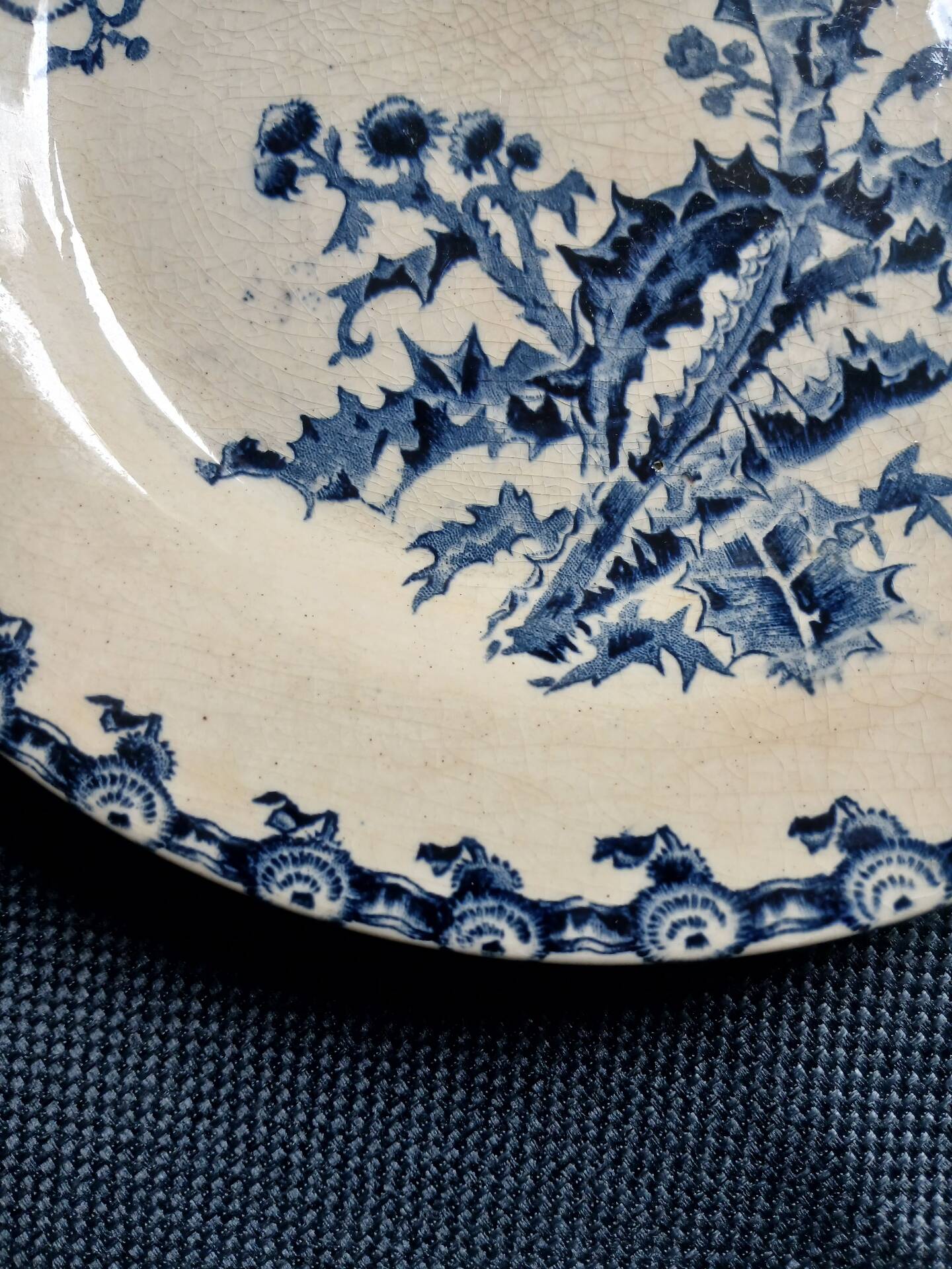 14 dinner plates + 2 "Chardons" dishes from Gien