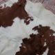 89x92cm skin rug