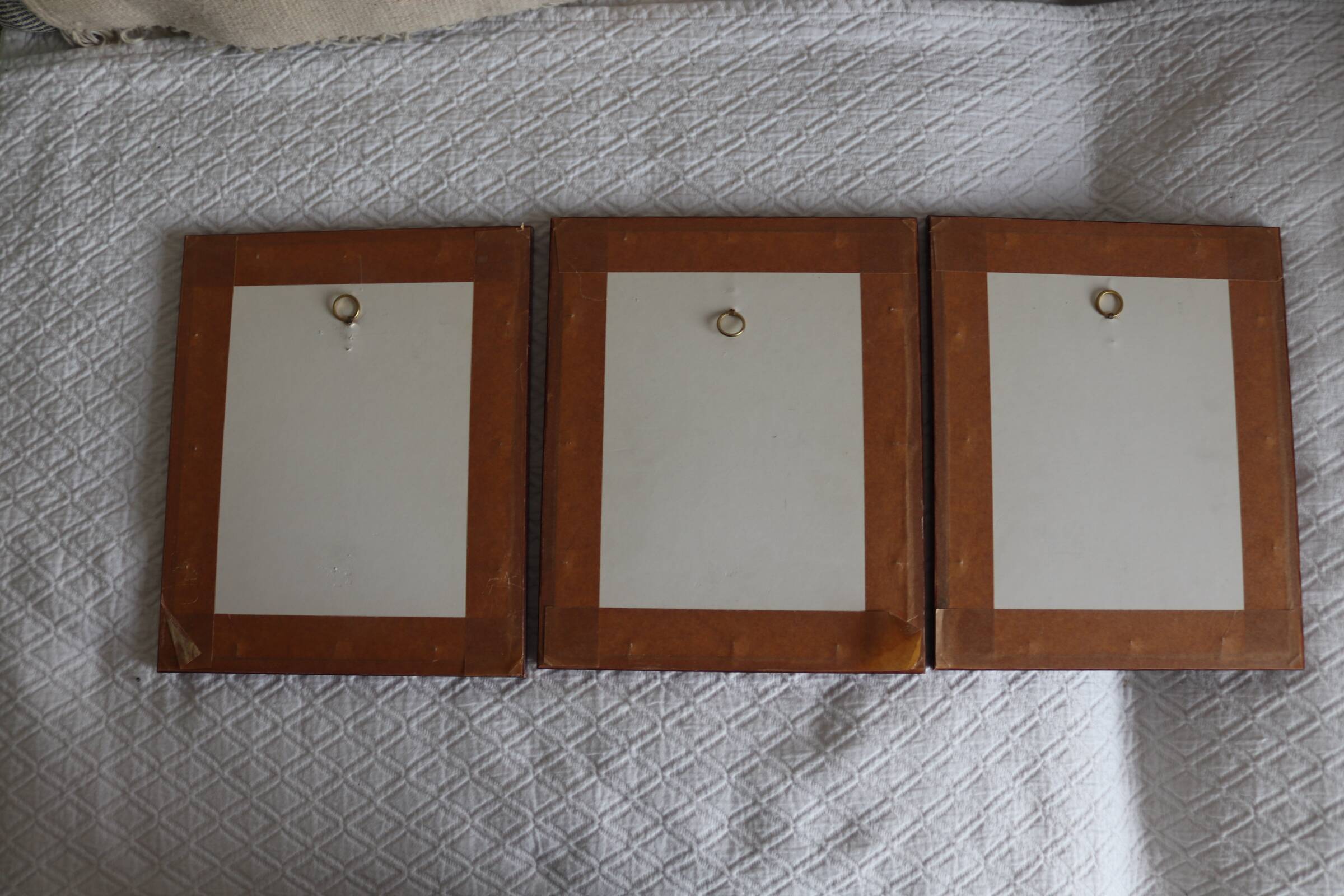 3 botanical illustrations flowers Claude vinçon