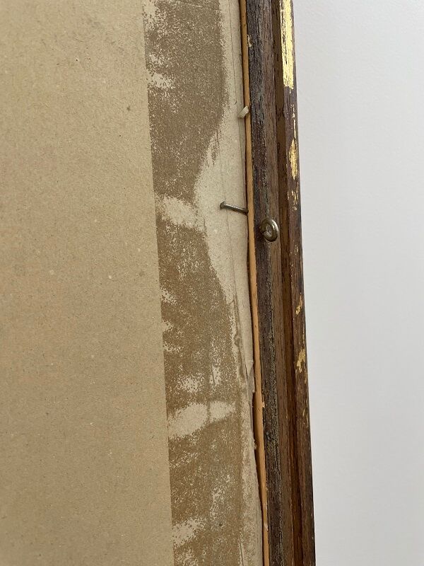 Painting anemones Still Life