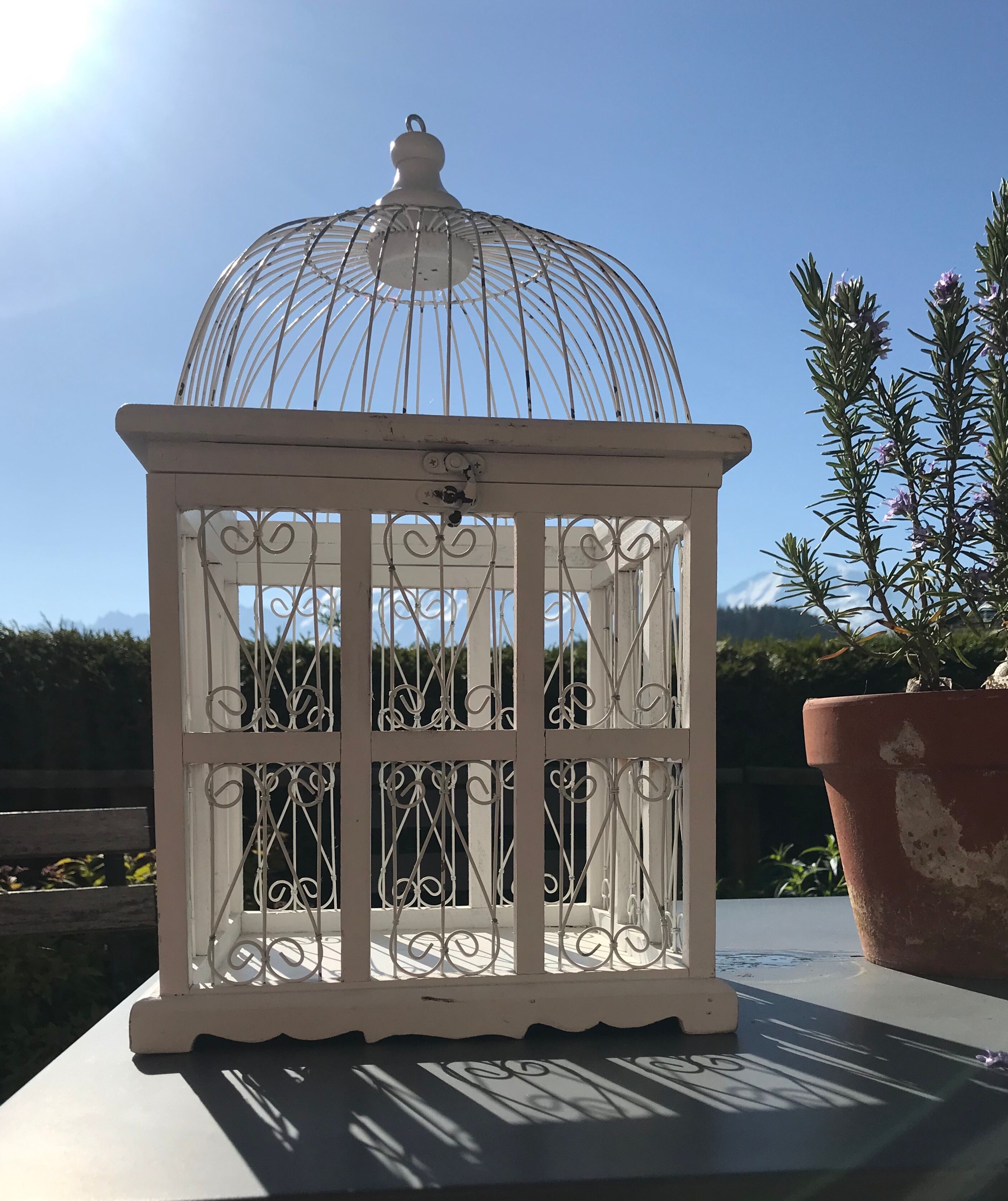 Cage à oiseaux blanche