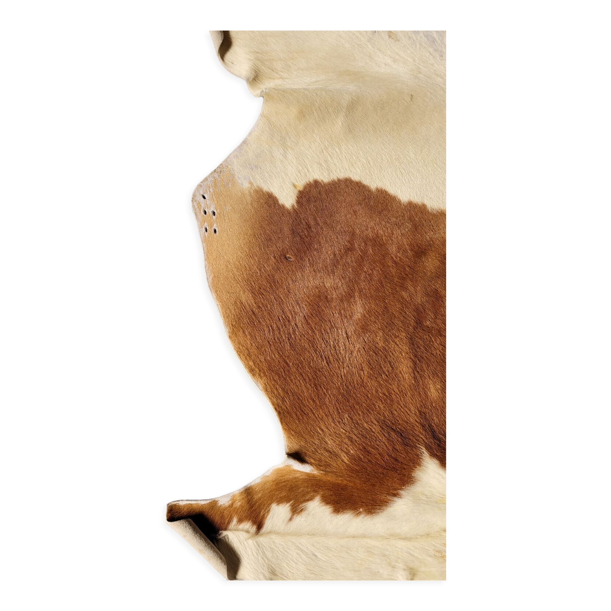 Vintage cowhide rug 1970