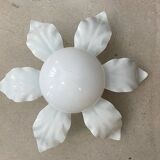 Flower wall light ceiling light