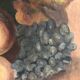 Old still life oil painting with grapes signed
