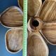 Olive wood appetizer dish