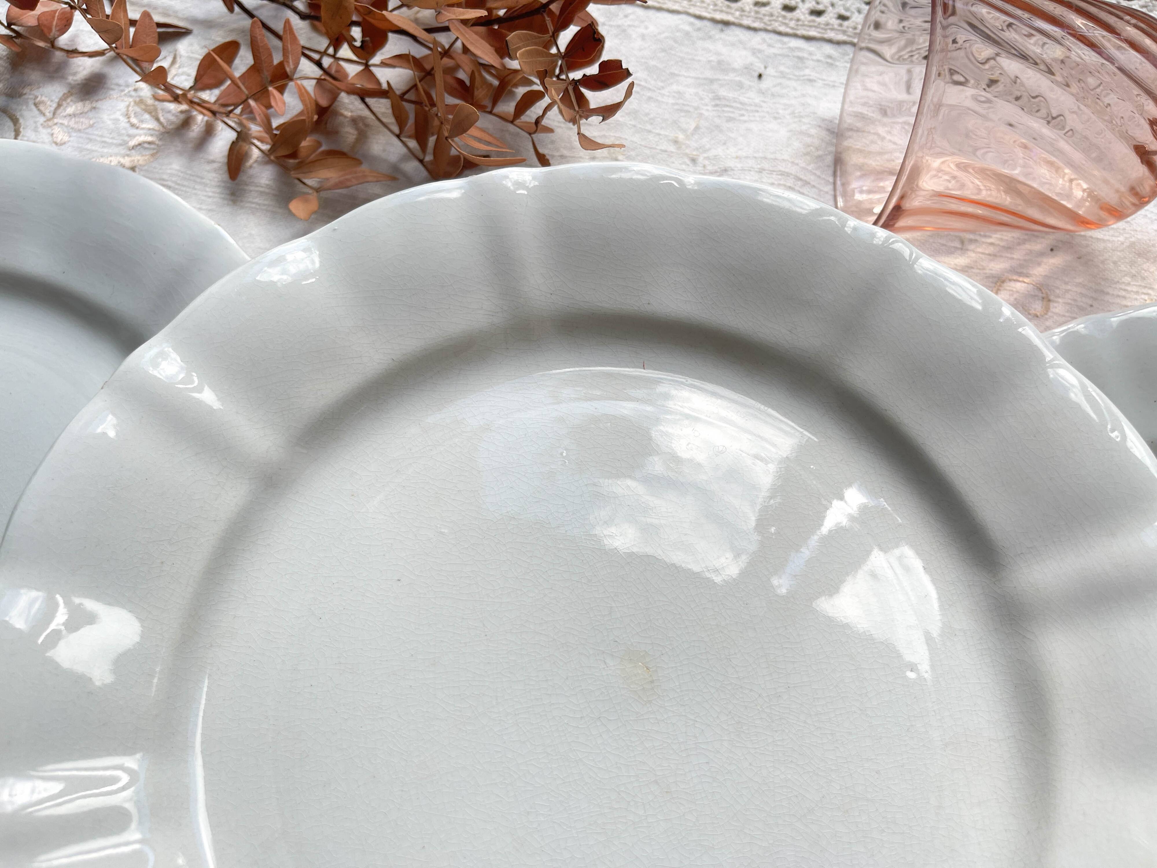 12 Vintage Terre de Fer White Plates + Small Gold White Porcelain Plates LIMOGES