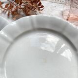 12 Vintage Terre de Fer White Plates + Small Gold White Porcelain Plates LIMOGES