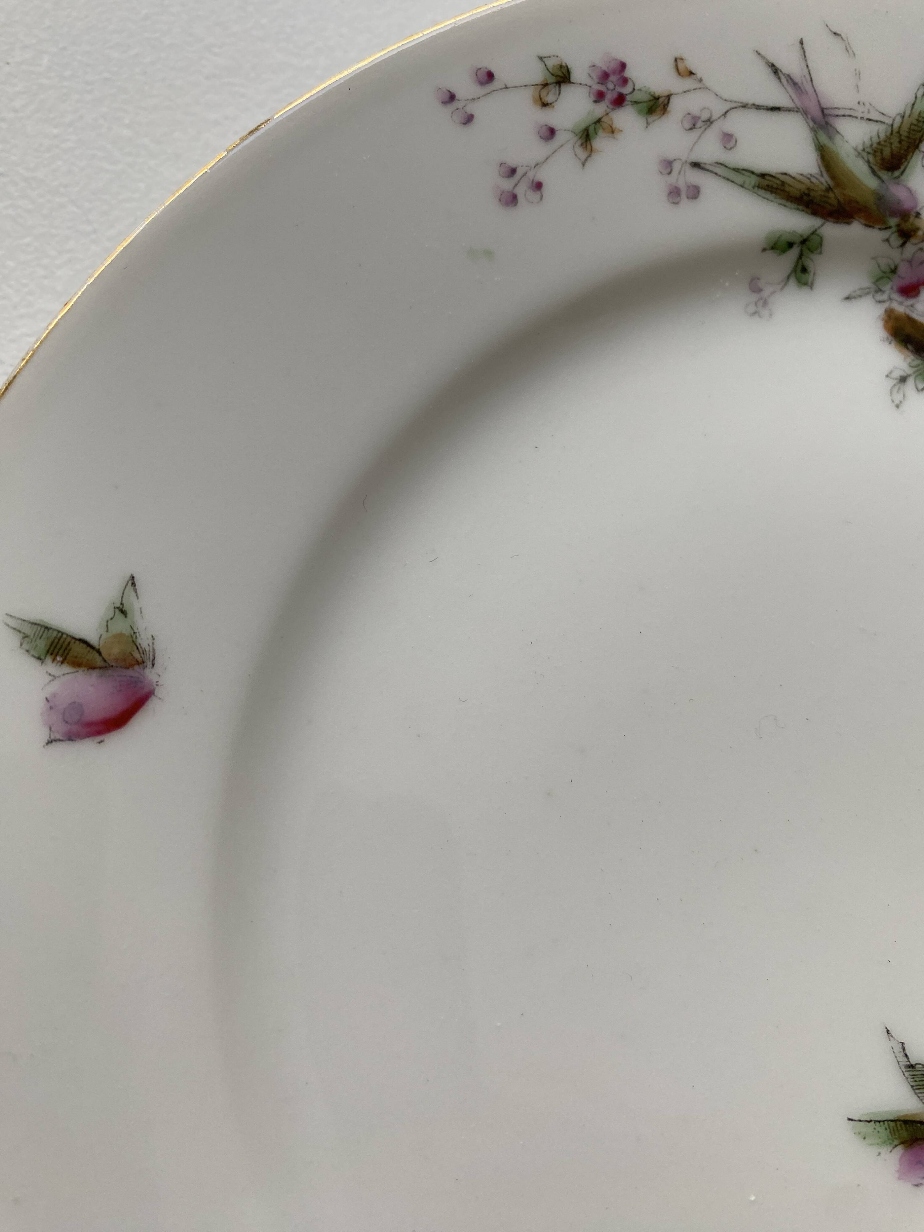 12 vintage porcelain dessert plates signed hache, julien & cie birds