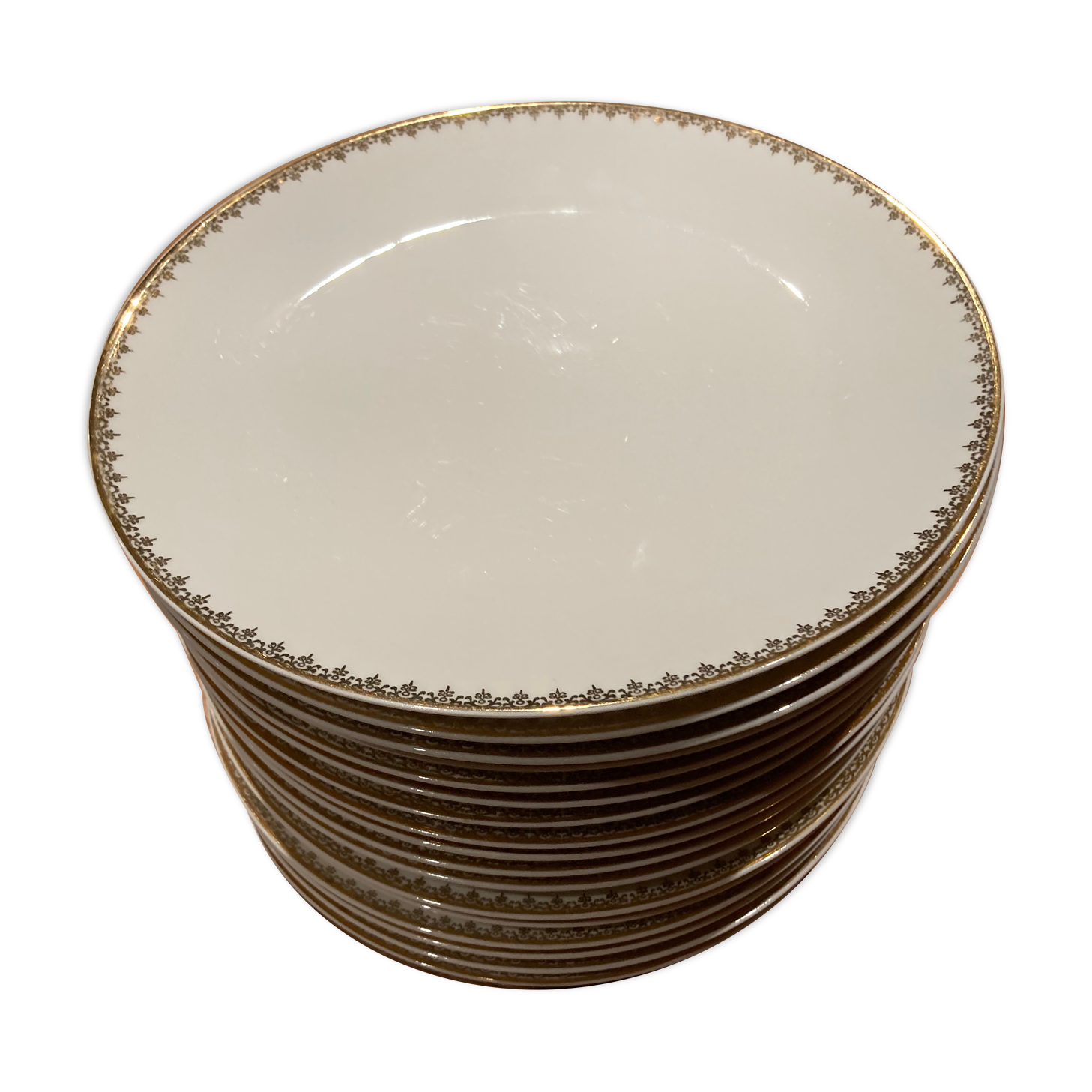 Series of 17 plates Limoges Haviland